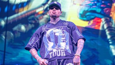 Chris Brown Accused of Assaulting His Own Concertgoers