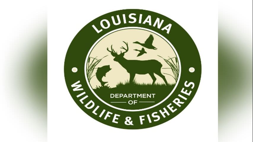 Iberville man pleads guilty to bird hunting violations, suspended from hunting for year