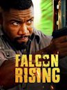 Falcon Rising