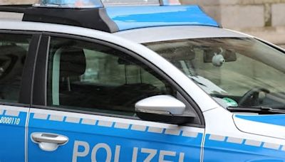 Schwandorf: Wieder verwahrloste Katzen gefunden