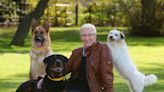 Battersea Dogs and Cats Home hails Paul O’Grady as ‘champion for the underdog’