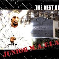 Best of Junior M.A.F.I.A.