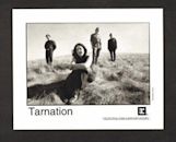 Tarnation (band)