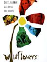 Wild Flowers (2000 film)