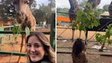 Ticiane Pinheiro e filha alimentam girafa em dia no zoológico