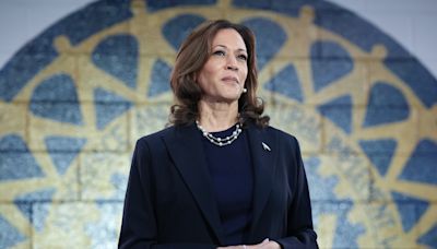 Kamala Harris Endorsed for President by 88 Business Leaders Including James Murdoch, Peter Chernin, Mark Cuban, Barry Diller