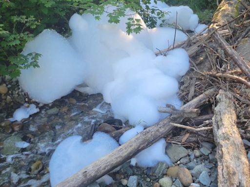 'Extremely apologetic': Abbotsford fire chief sorry for foam spilled in creek