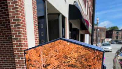 'A win-win all around': Trash cans offer artist the chance to show off best of Gardner