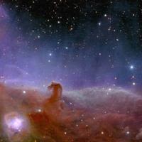 The planets were spotted during Euclid's observations of the Horsehead Nebula, depicted in a colourful image released in November