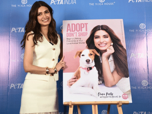 Diana Penty: So many animals need good homes | Hindi Movie News - Bollywood - Times of India