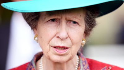 Princess Royal begins first public engagement since horse-related accident