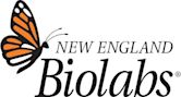 New England Biolabs