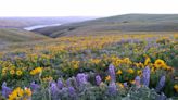 Explore the Northwest’s one-of-a-kind site with ‘Day Hiking Columbia River Gorge’