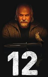 12 (2007 film)