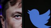 Several left-wing activists had their Twitter accounts suspended after a false-report campaign by far-right users