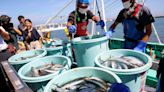 Sushi standoff spreads as Russia joins China in banning Japanese seafood