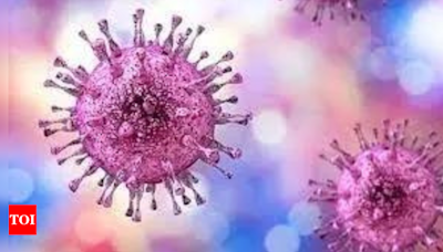 Pakistan: New case of Congo virus reported in Quetta - Times of India