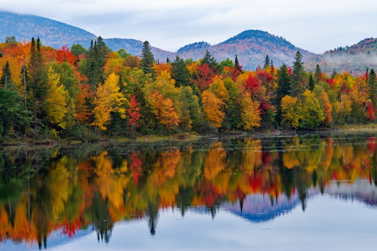 Fall foliage 2024: Where the weather will create stunning autumn colors