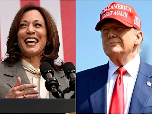 ¿Kamala Harris vs. Donald Trump? Cómo será la inédita votación en línea que definirá al candidato demócrata