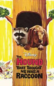 The Hound That Thought He Was a Raccoon