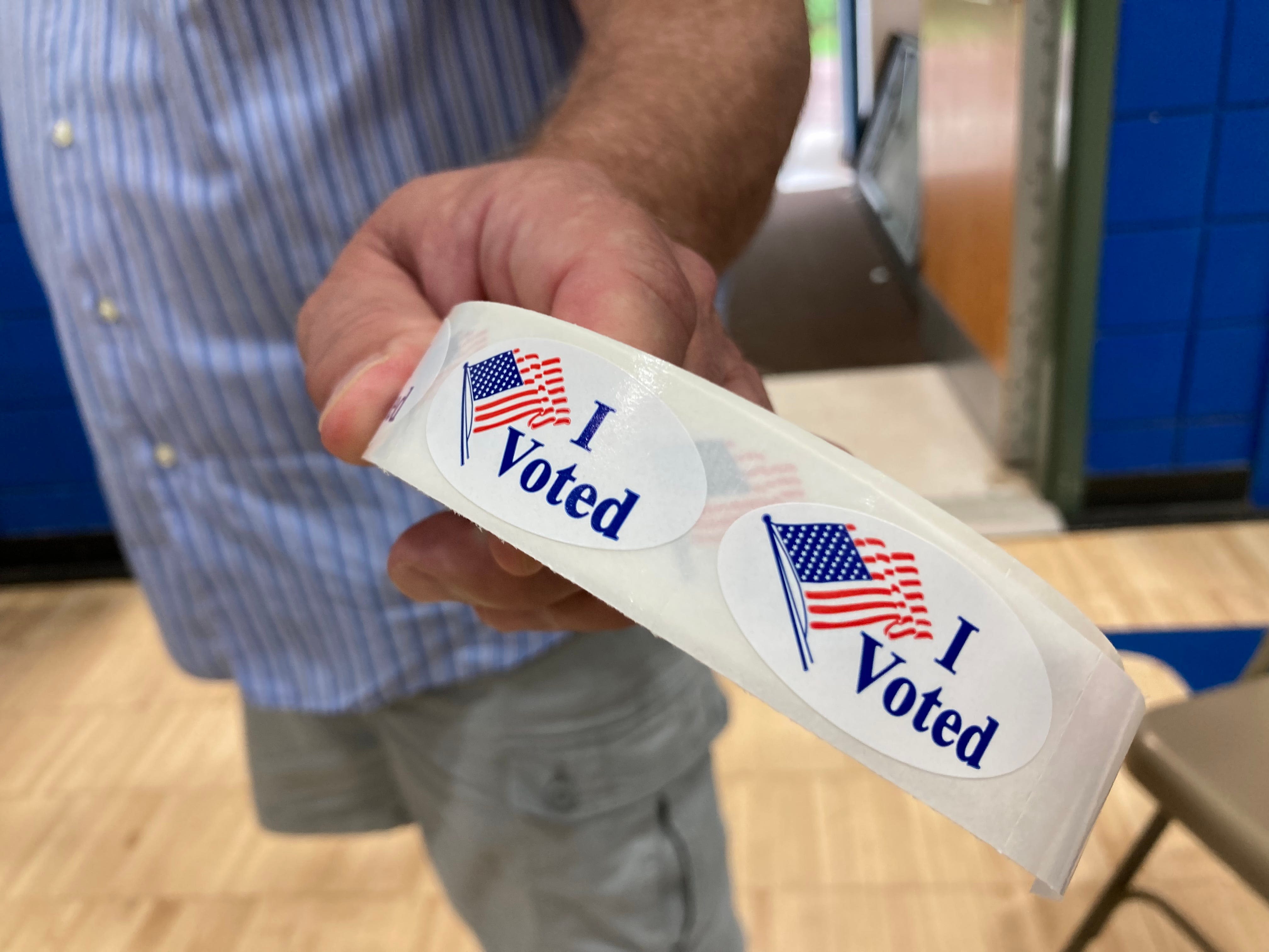 Primary Elections 2024: Who are Chittenden County's candidates for the Vermont Senate?