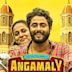 Angamaly Diaries