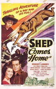 Shep Comes Home