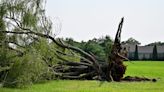 'Never seen a rotation like that': North Brookfield fire chief marvels at tornado's power