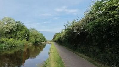 Police appeal after elderly man punched in the head while walking his dog