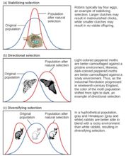 Evolution by Natural Selection | Biological Principles