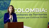 Los cultivos de coca se disparan en Colombia con un crecimiento del 43 % en 2021