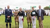 'Exceptional' livestock champions honoured at Great Yorkshire Show