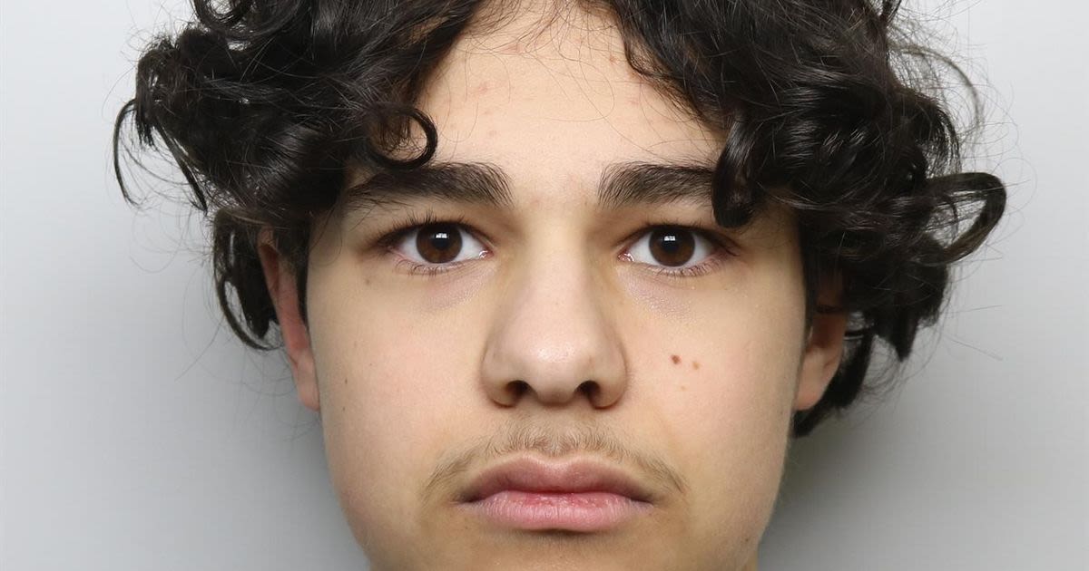 14-year-old killer who stabbed Alfie Lewis to death in broad daylight unmasked