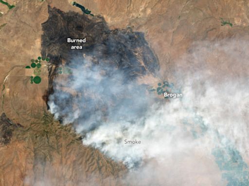 Oregon wildfire scale revealed in NASA images—"Burned over 132,000 acres"