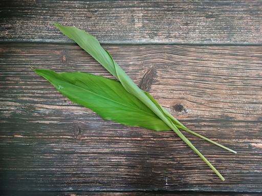 Para qué sirven las hojas de cúrcuma y cómo aprovecharlas