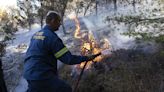 Dos incendios forestales avivados por el fuerte viento arden cerca de Atenas
