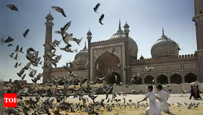 Delhi HC expresses displeasure over non-production of file on not declaring Jama Masjid 'protected' | Delhi News - Times of India