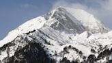 Centuries of Avalanches Are Stored in Tree Rings