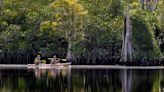 These Florida state parks were the most and least popular for camping in the past year