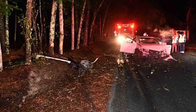 Man hospitalized after high-speed crash into trees in Colleton County