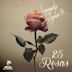 25 Rosas