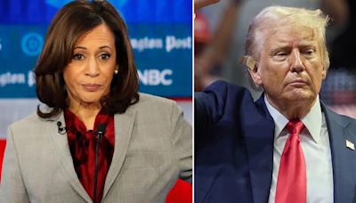 Aborto, migración y economía: las diferencias entre Donald Trump y Kamala Harris que pueden definir la elección