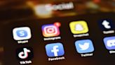La nueva etiqueta de las redes sociales: Publique sus ideas políticas, no las de sus hijos