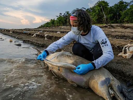 Mudanças climáticas já interferem em secas e cheias na Amazônia