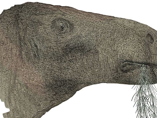 Dino-mite discovery! New species of dinosaur found on Isle of Wight