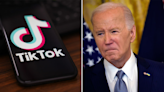 Right wing TikTokers sue Biden admin, challenging TikTok action on First Amendment grounds: 'A ban on speech'