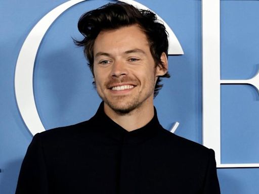 Brasileira que enviou 8 mil cartas a Harry Styles é condenada à prisão