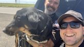 A dog-gone good ending: Drivers rescue pup running loose on I-70