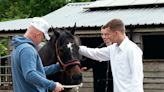 Could therapy horses be the solution to Britain’s prison crisis?