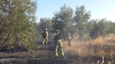 Medios aéreos y terrestres actúan contra un incendio forestal cerca de viviendas en Añora